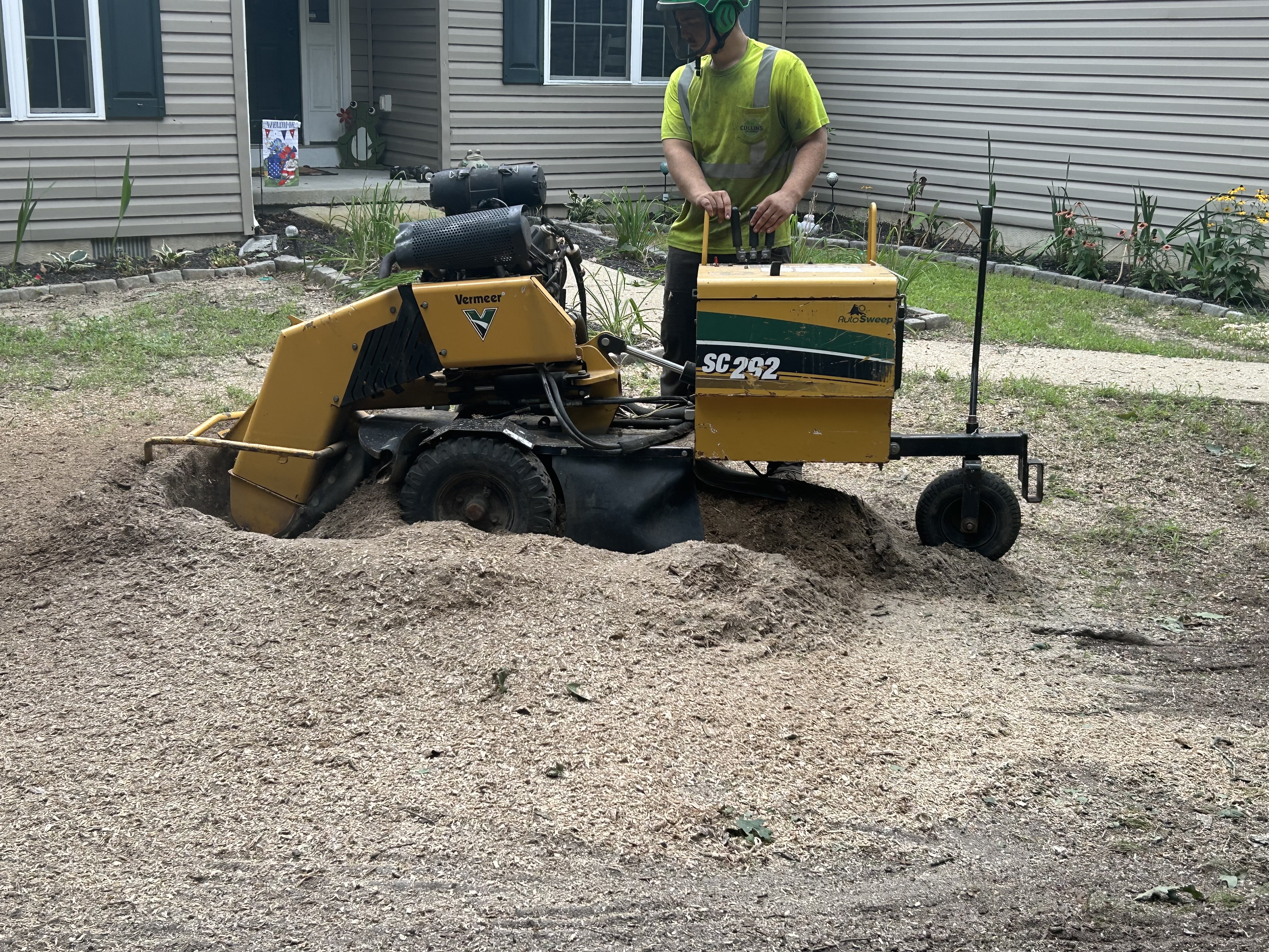Tree Removal and Stump Grinding in Denton, MD